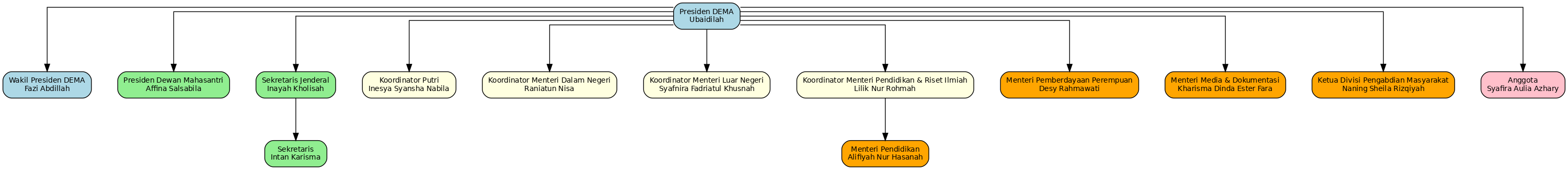 Organization Structure picture